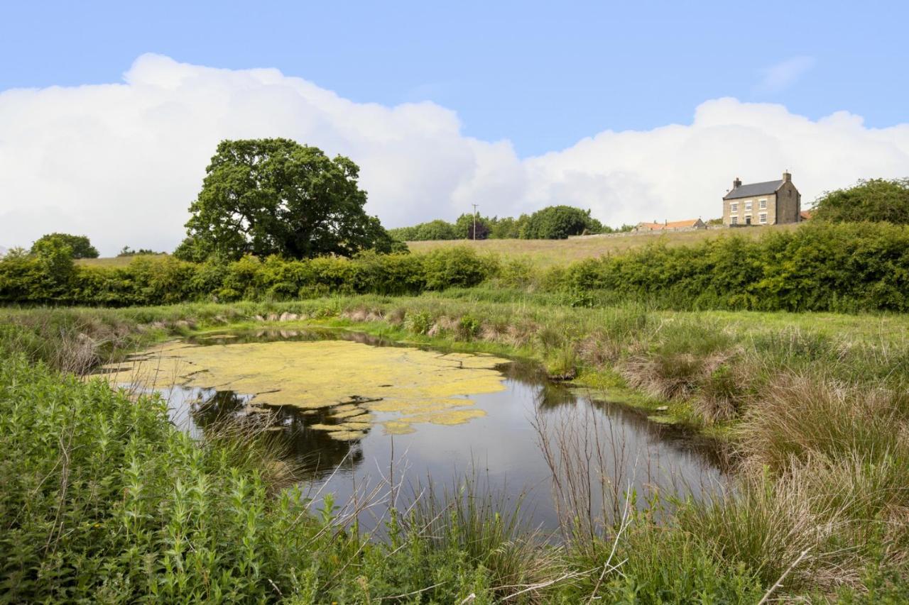Thirley Cotes Farm Cottages Scarborough Extérieur photo